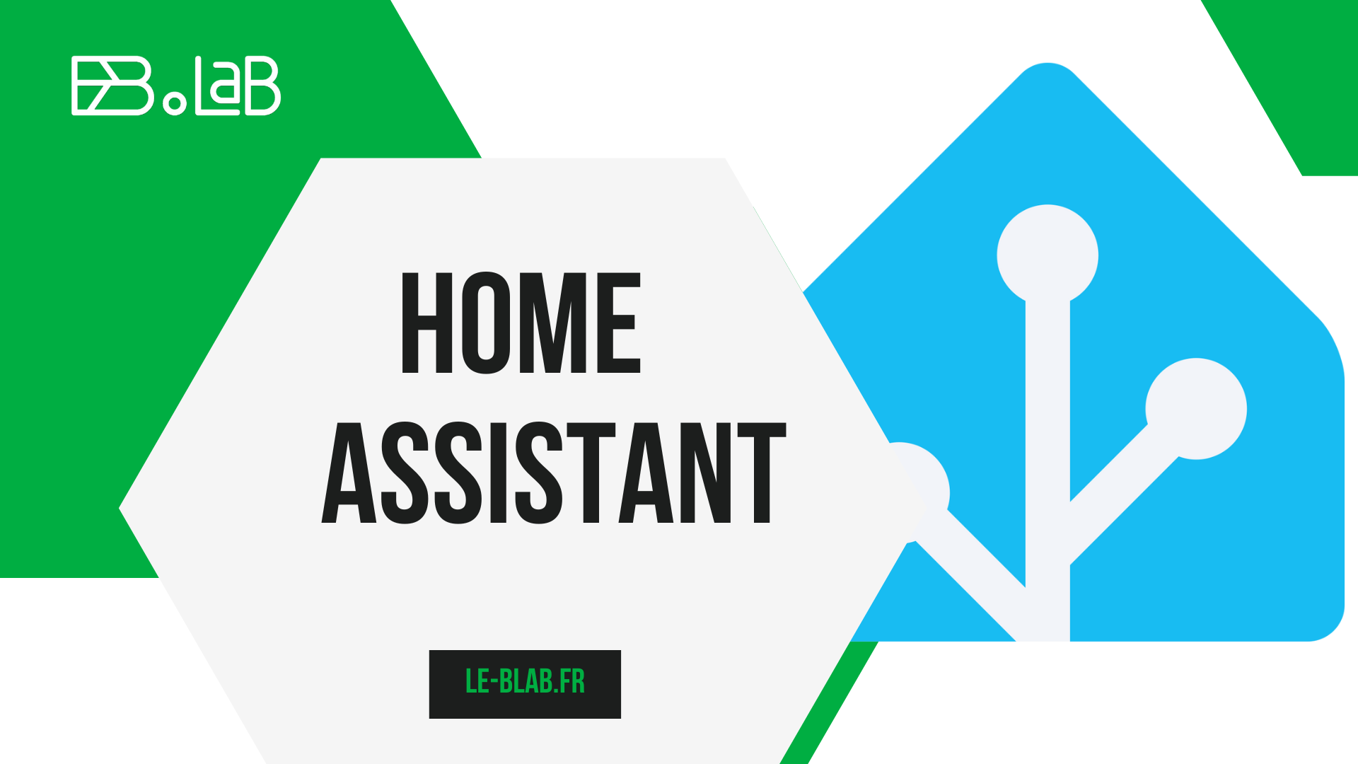 Home assistant